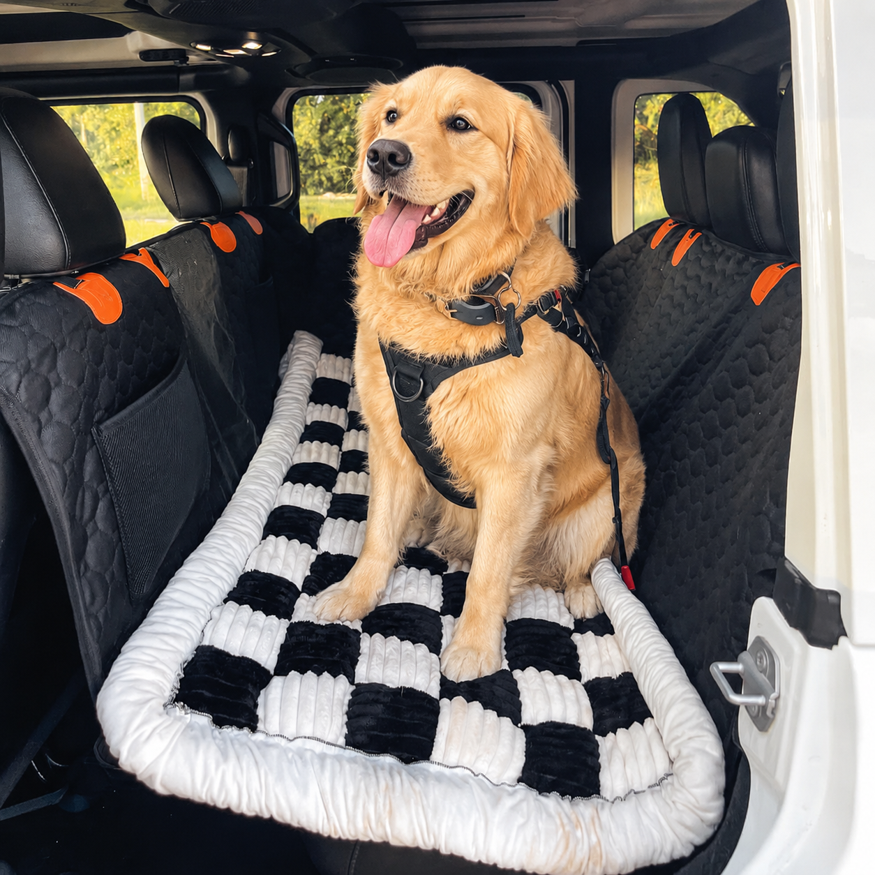 A golden retriever dog wearing a black harness sits on a black hard bottom dog car seat cover from ThePupy Brand and white checkered pet bed inside the back of a vehicle. The pet bed has a plush white border and black and white checkered center.