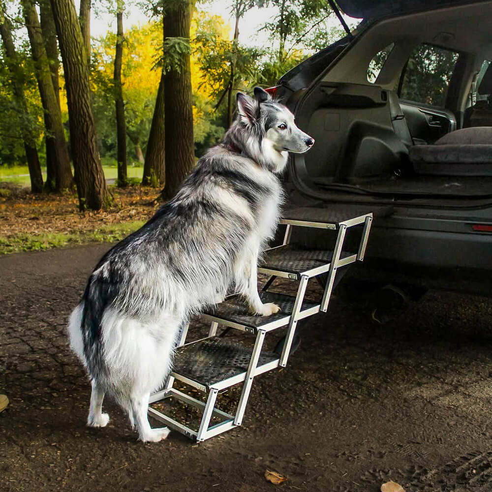 The Pupy™- Portable Dog Stairs