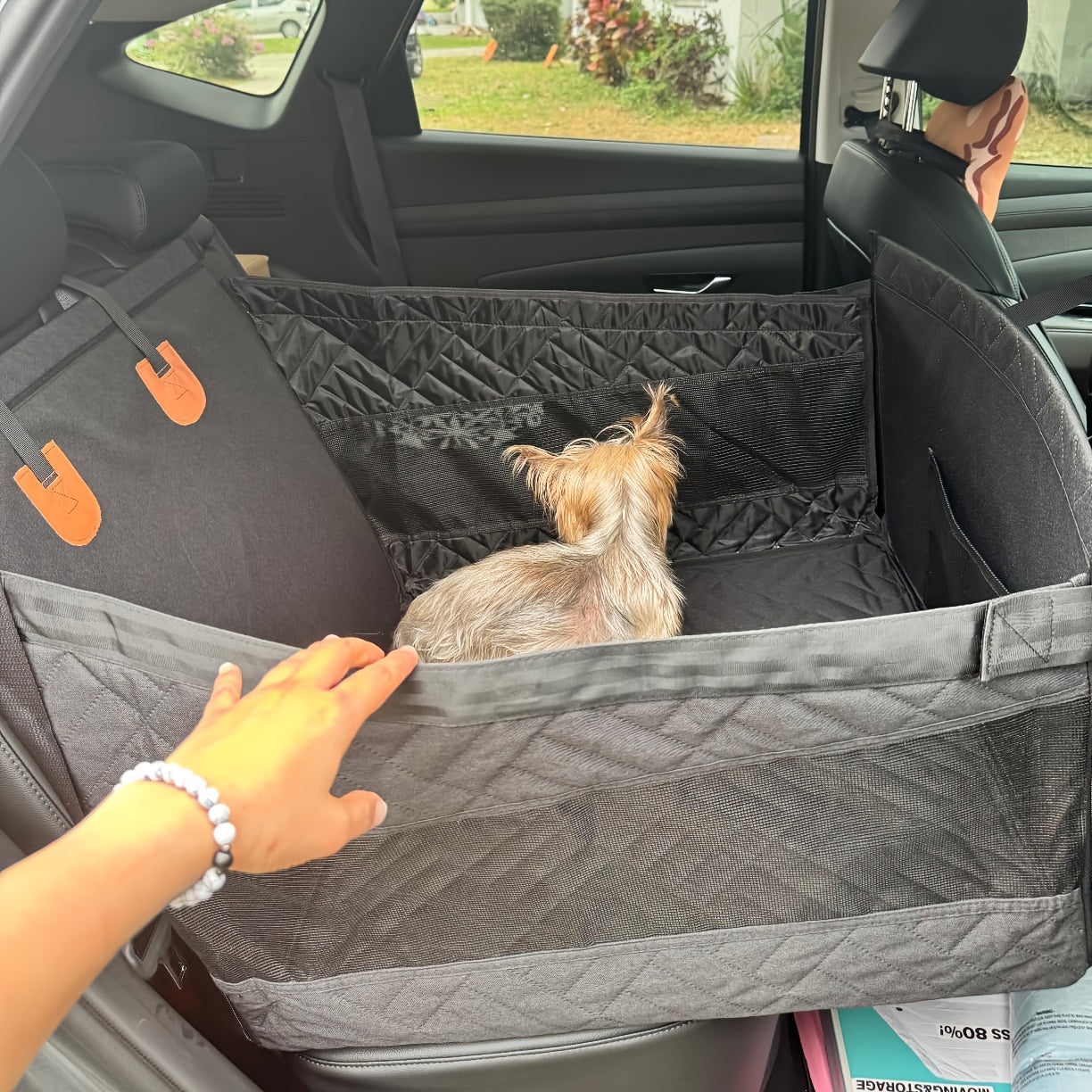 Small dog sitting in a car with a single pet seat cover, with a person's hand reaching into the frame.